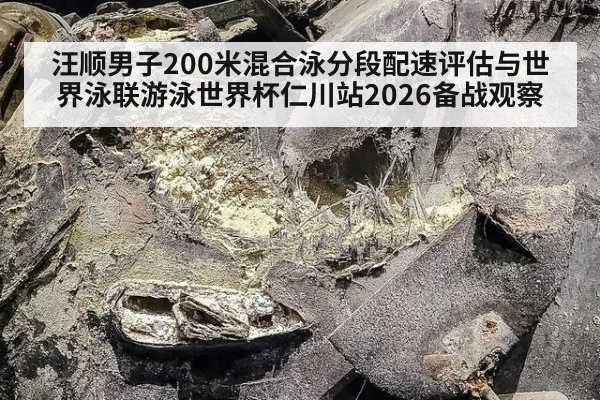 汪顺男子200米混合泳分段配速评估与世界泳联游泳世界杯仁川站2026备战观察